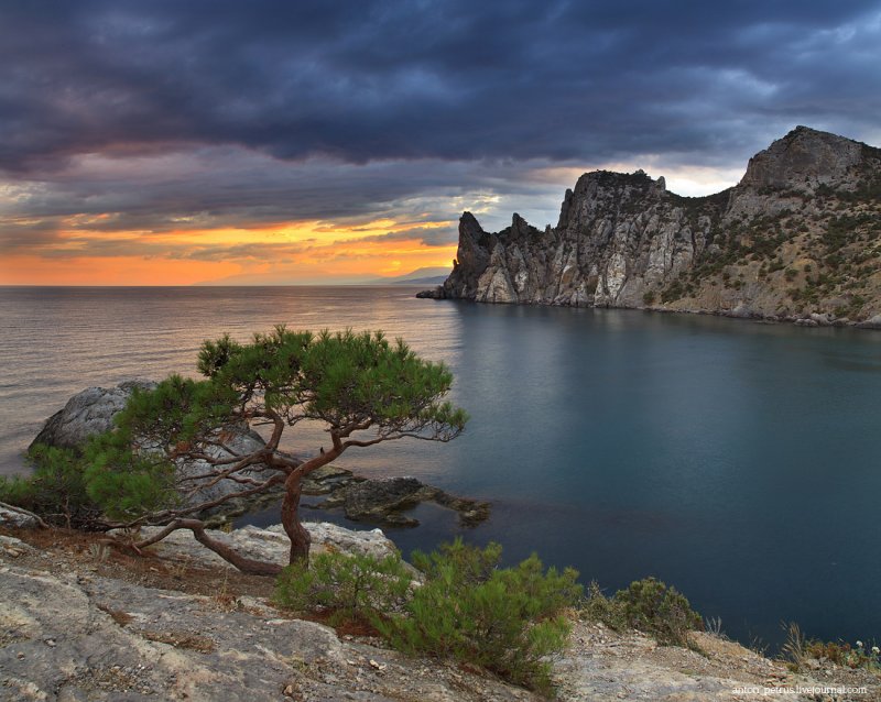 Красивая природа Крыма