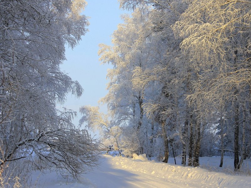 Зима в средней полосе России