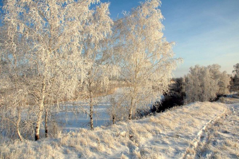 Сибирь Омская область природа зима