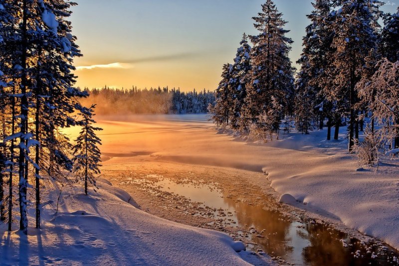 Зима закат пруд лес