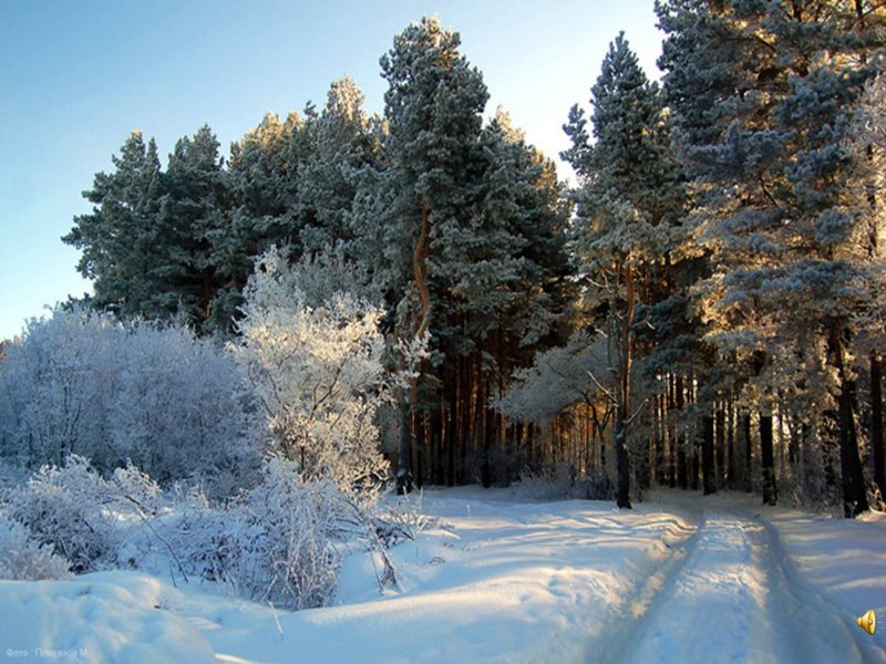 Природа России зима
