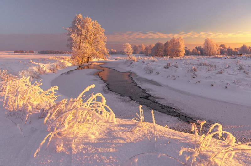 Зимний пейзаж Беларусь