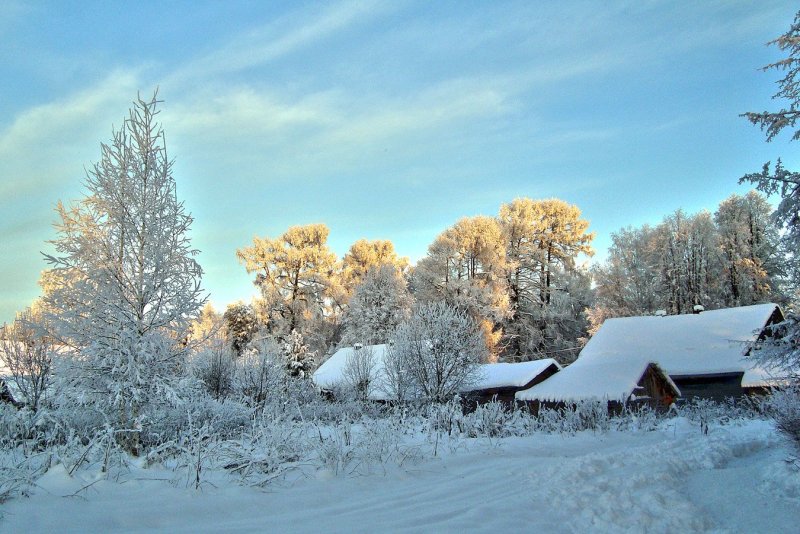 Зимняя деревня на опушке леса