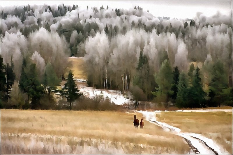 Костромская область природа зима