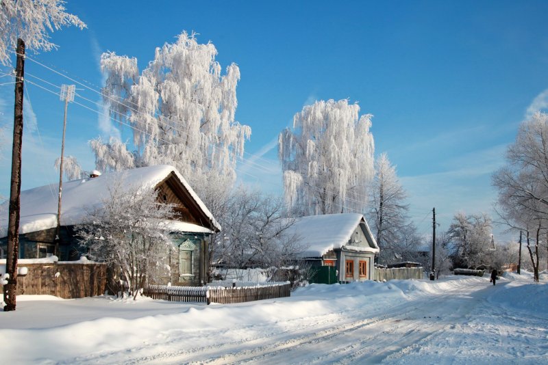 Зимний лес Россия
