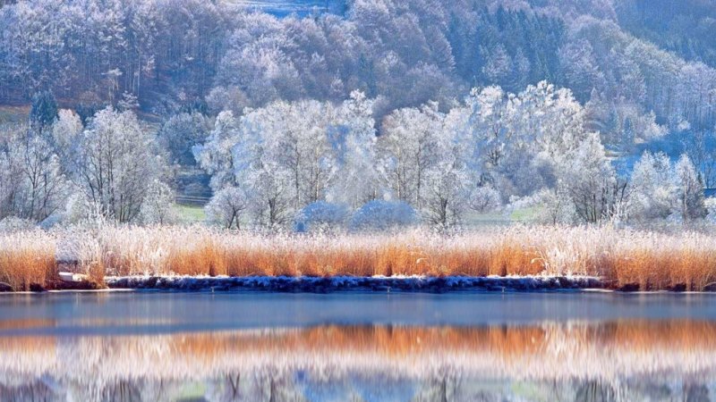 Фото Зимушка зима пейзаж