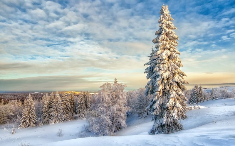 Беларусь природа зимой