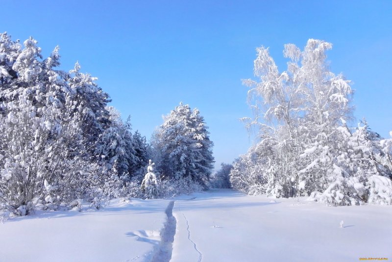 Уральская природа февраль
