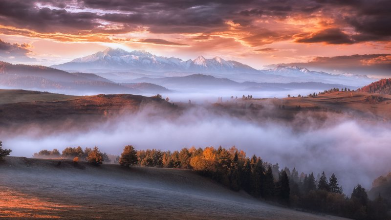 Карпаты Румыния холмы туман