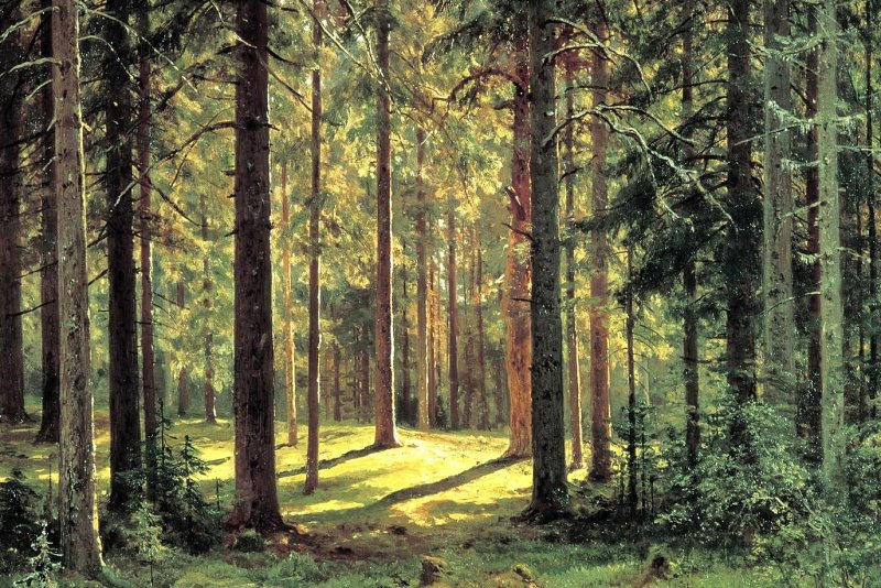 Шишкин Иван Иванович Сосновый лес 1885