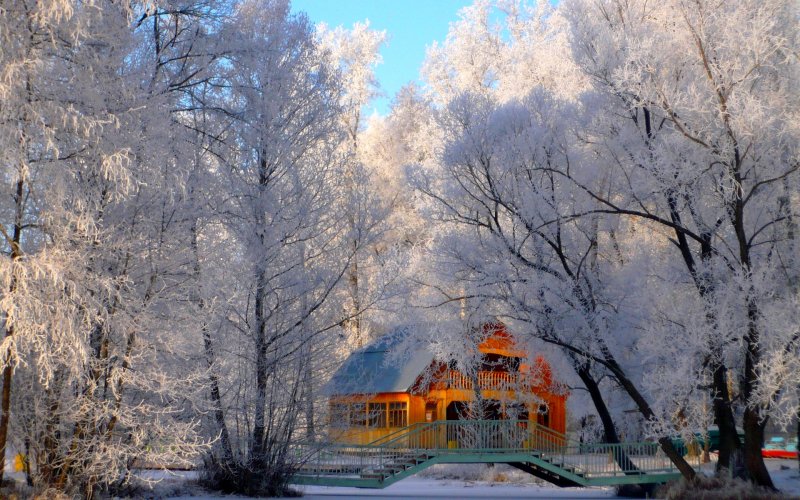 Дом снег природа