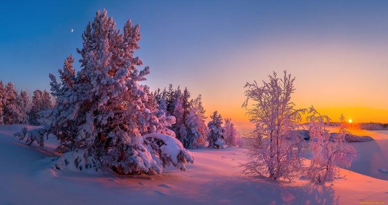Зимний пейзаж снег