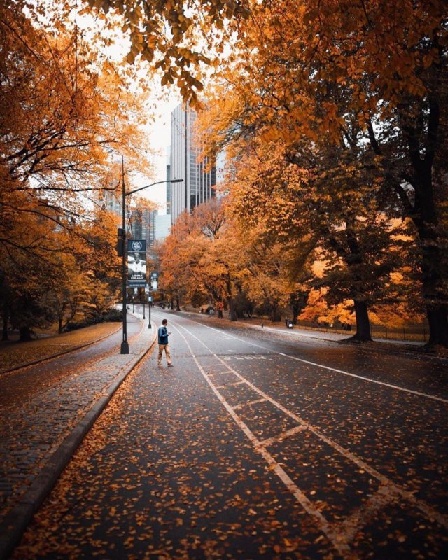 Осень в городе Нью Йорк
