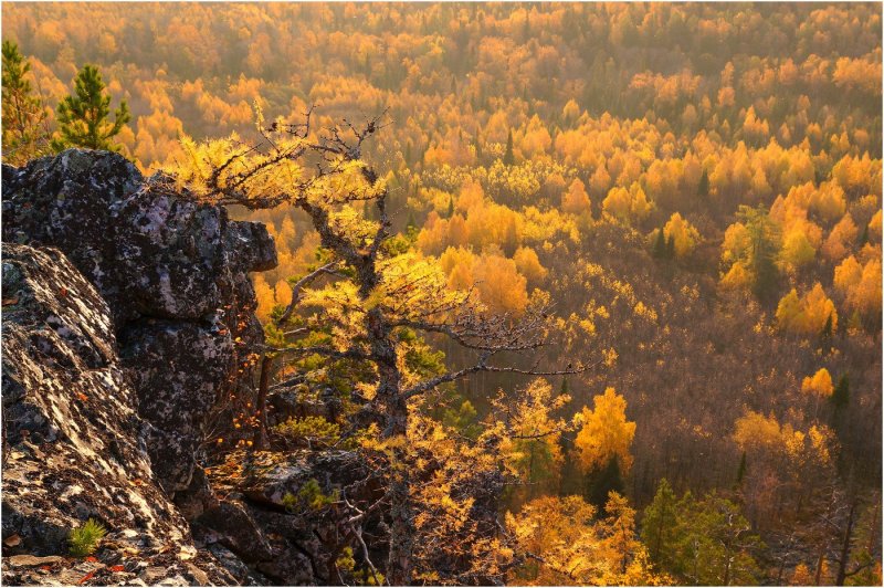 Уральские горы осень Башкирия