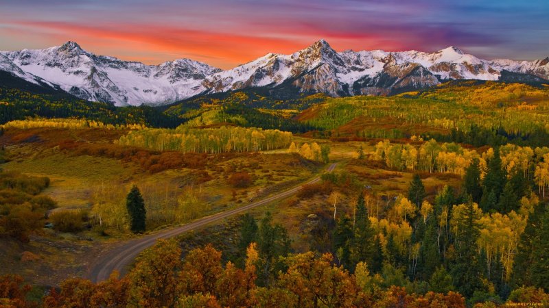 Штат Колорадо природа леса