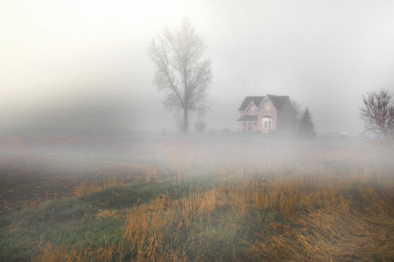 Деревенский домик в тумане