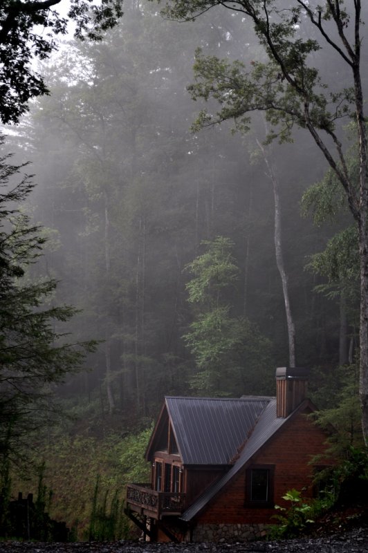 Домик в лесу в тумане