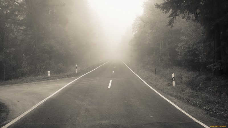 Мистический туман и дорога