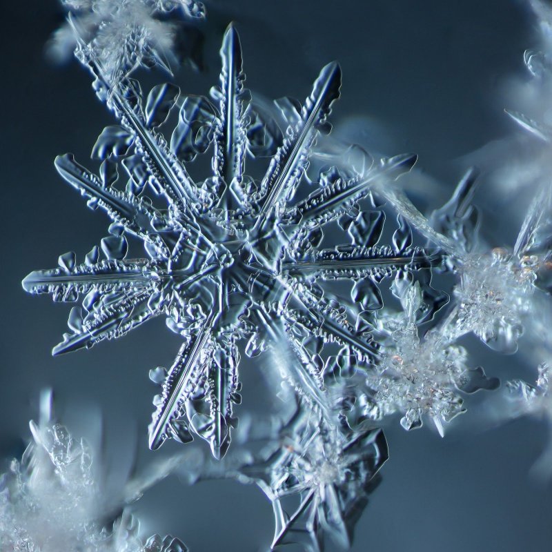 Кристаллы снега под микроскопом