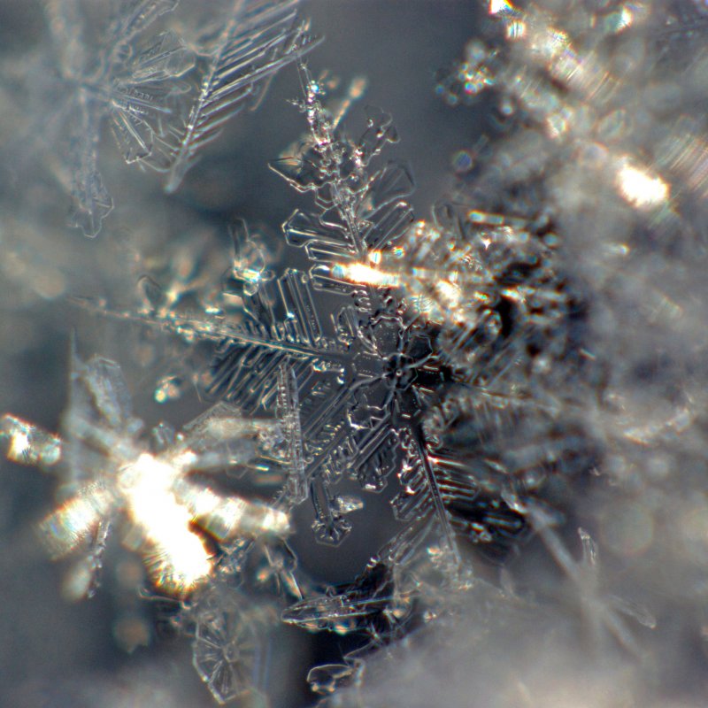 Снежинка под микроскопом