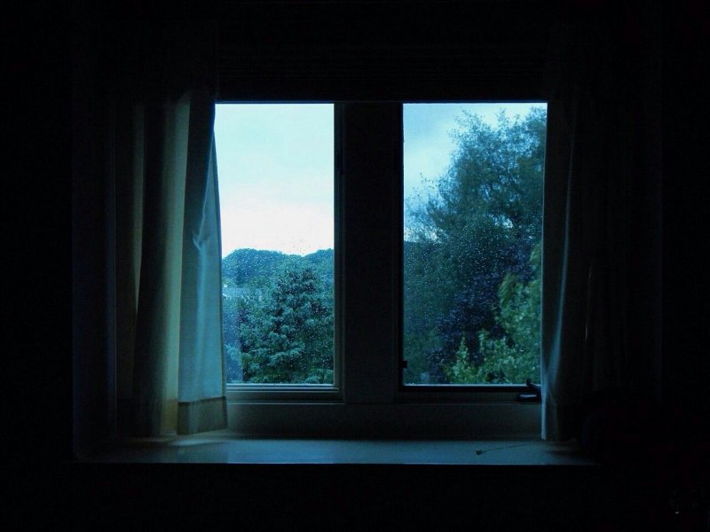 Фон ночной вид из окна