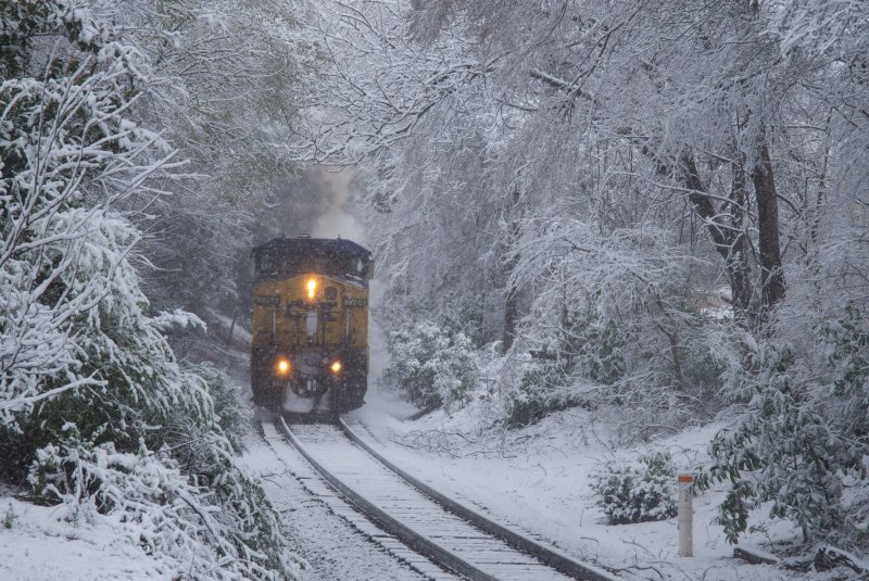 Поезд в лесу зимой