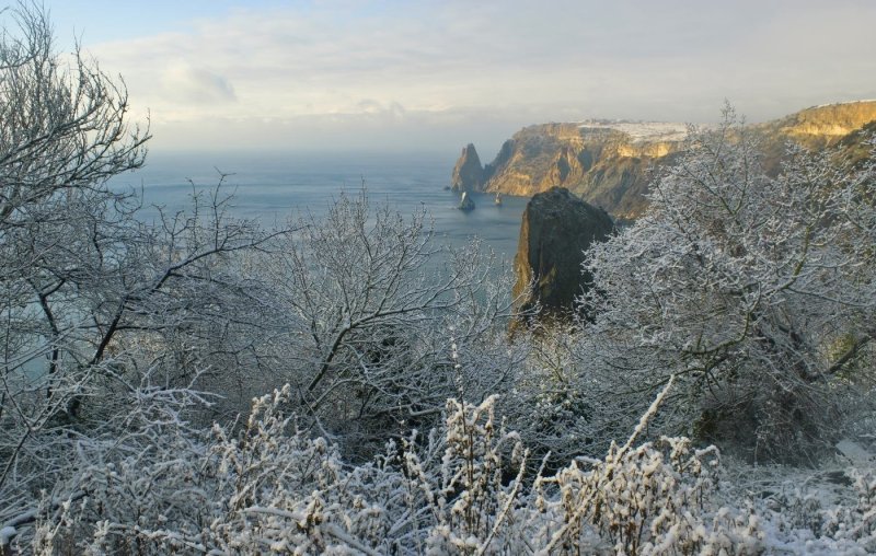 Новый свет Крым зима