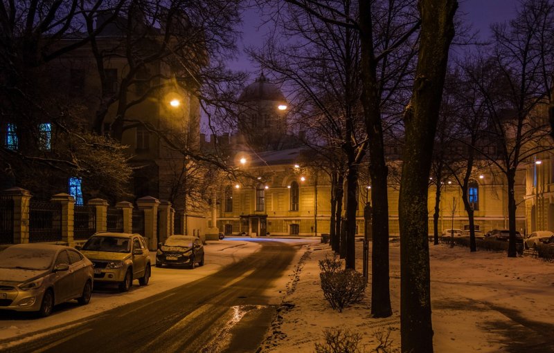 Тифлисская улица Санкт-Петербург