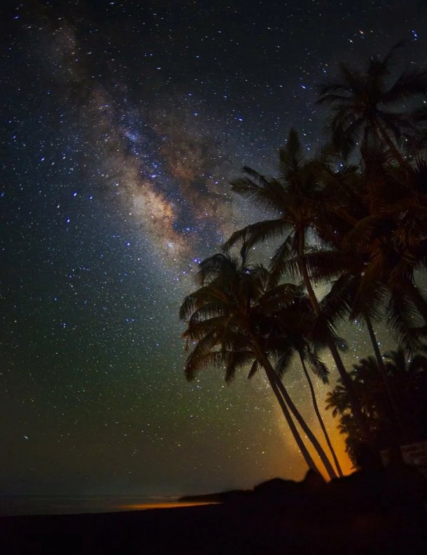 Ночь звезды пальмы