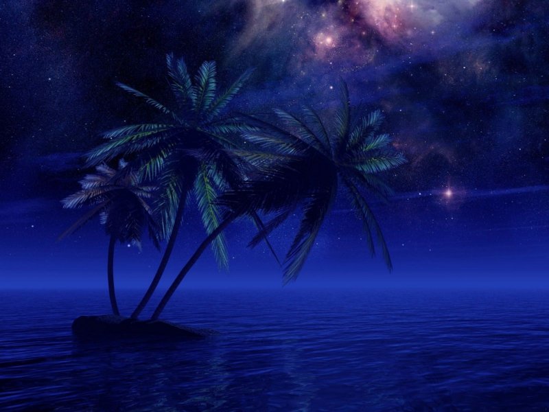 Ночное море с пальмами