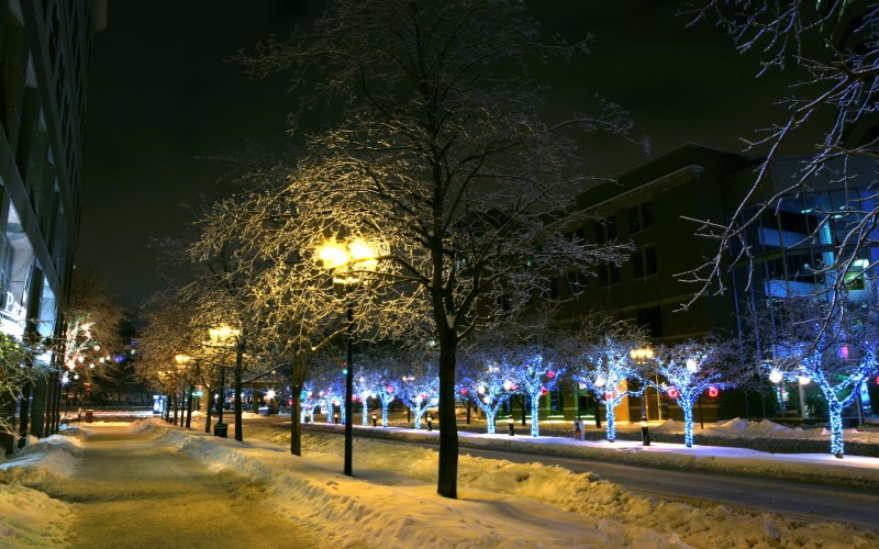 Зимний вечер в городе
