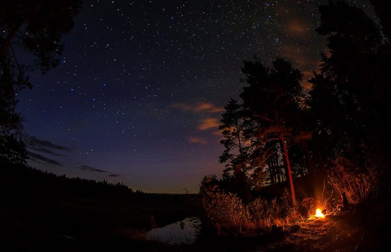 Ночь лес звезды