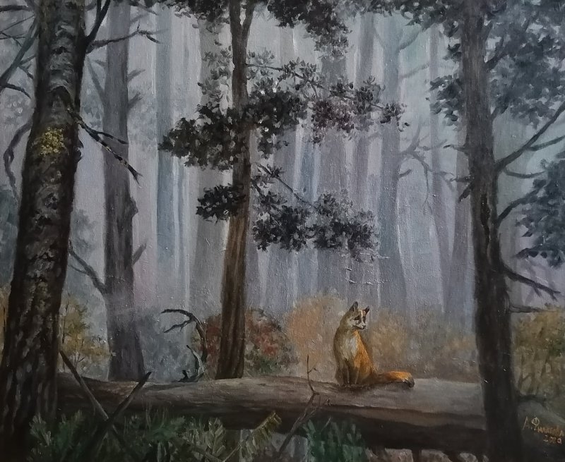 Лиса в туманном лесу