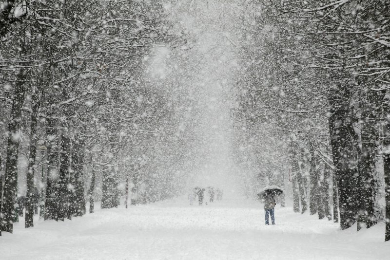 Новосибирск снег 2020