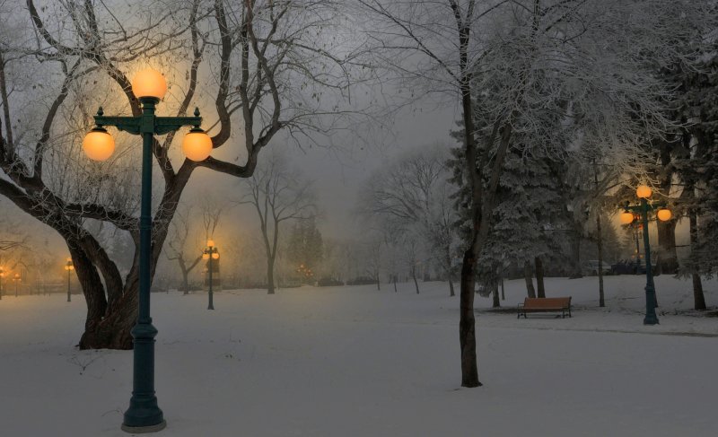 Зимний парк с фонарями
