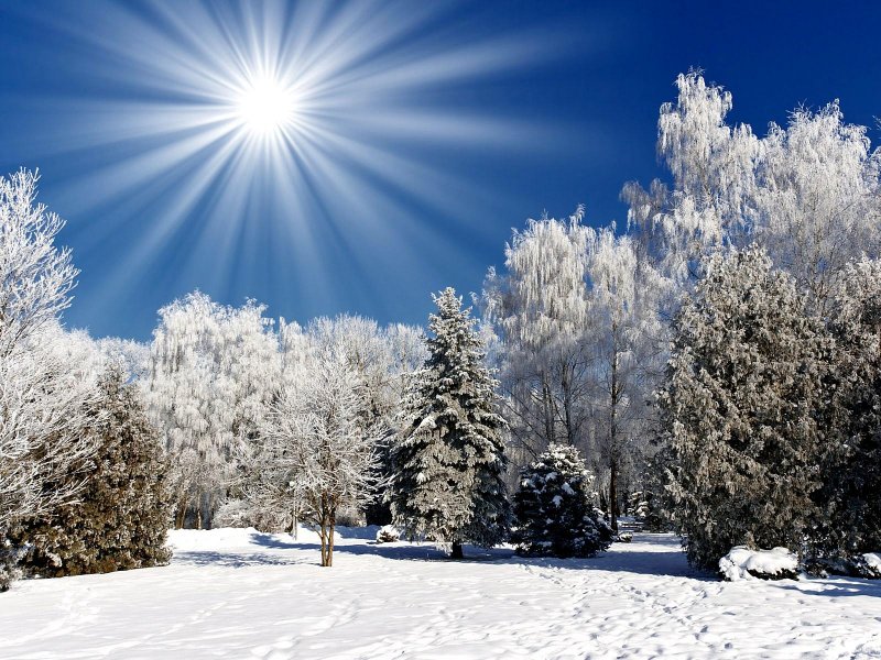 Зимнее солнцестояние картинки красивые