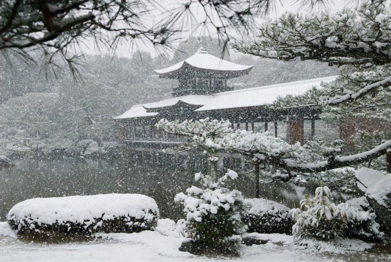 Сильный снегопад в Токио в декабре