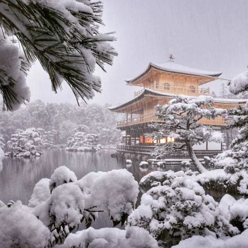 Снег в храме Кинкаку-дзи
