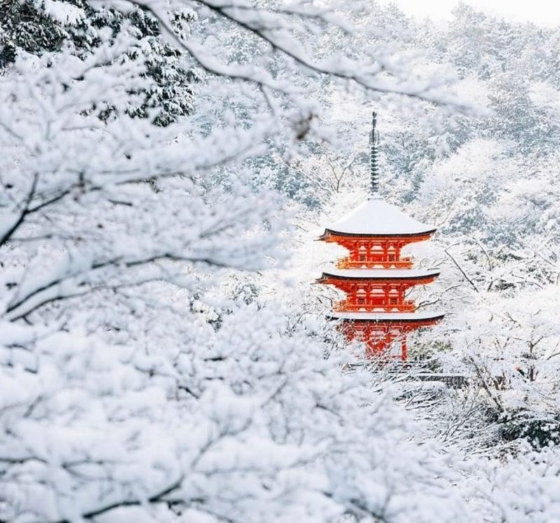 Зима в Киото Япония