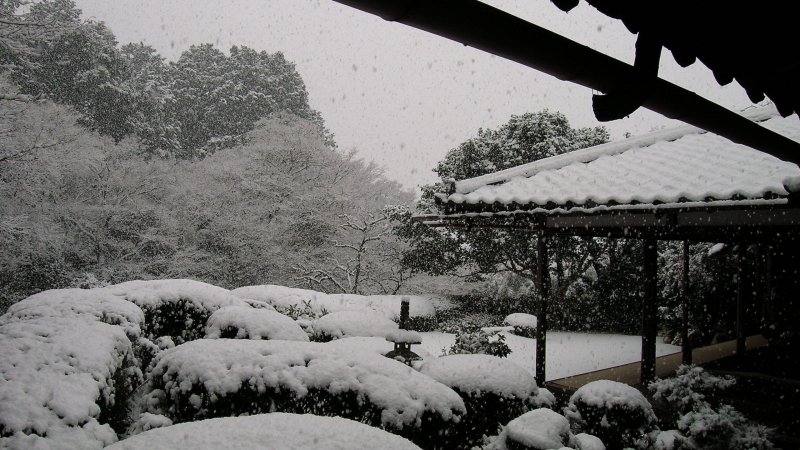 Завалы снега в Японии