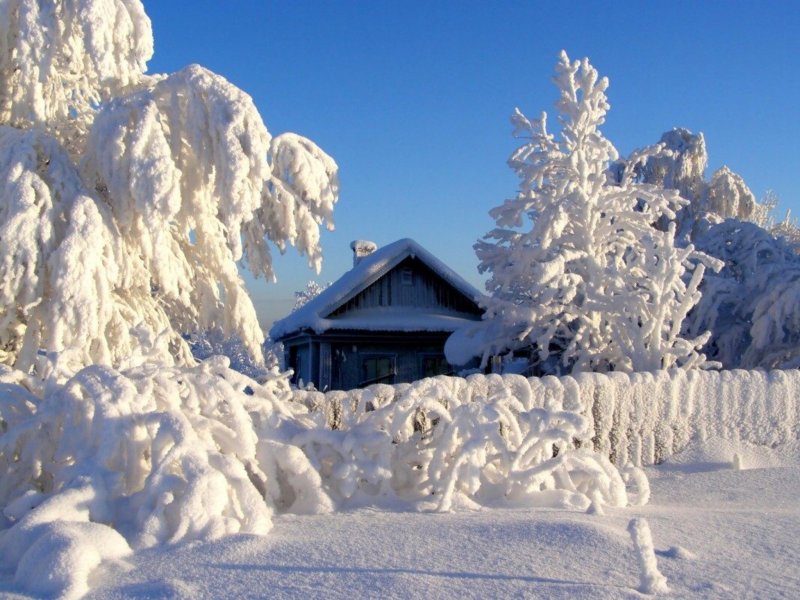 Снег в селе