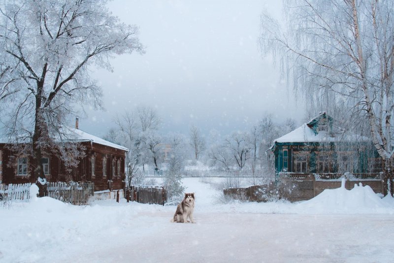 Зима снег деревня