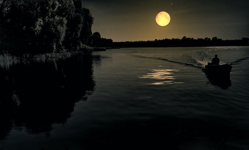 Лунная ночь на берегу