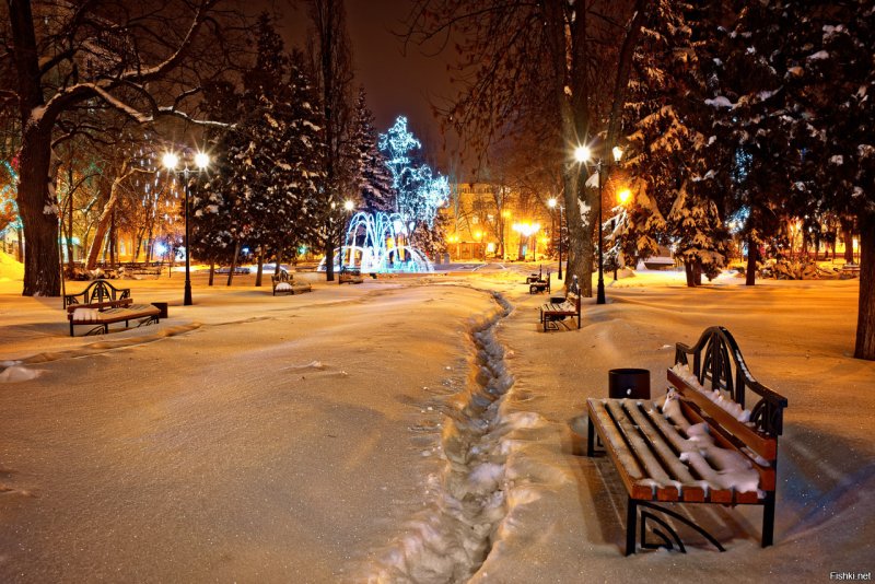 Кольцовский сквер Воронеж зимой