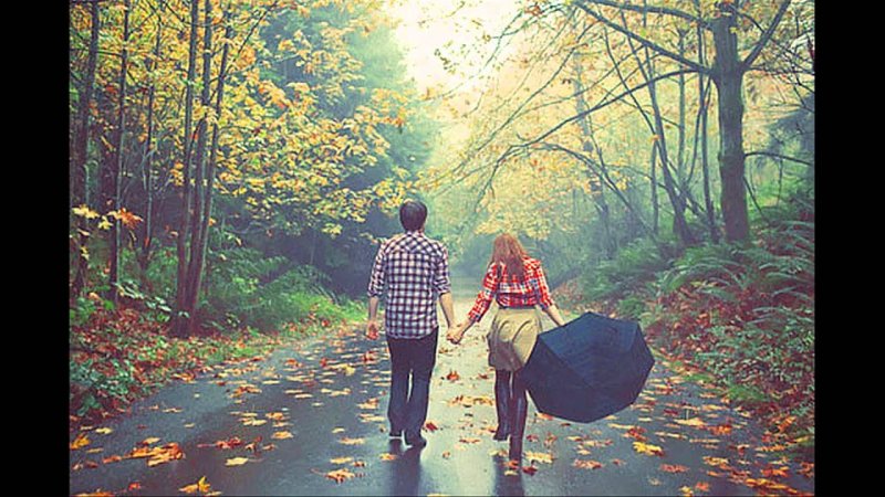 Пара гуляет в лесу