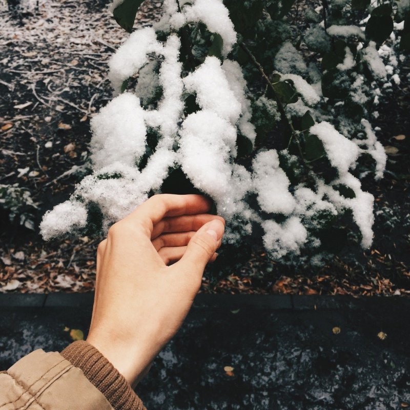 Снежок в руке