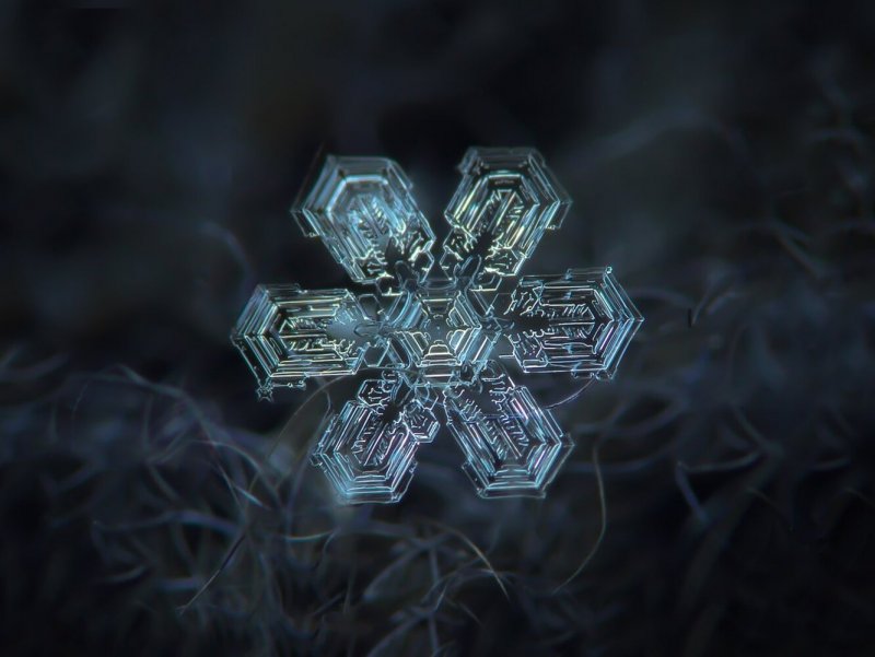Снежинка в микроскопе