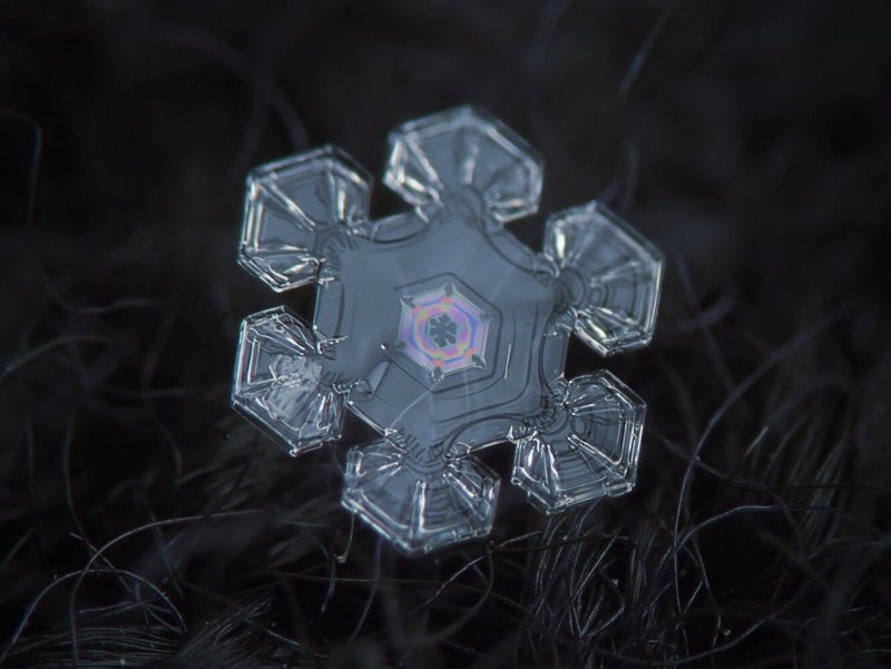 Кристаллы снежинок под микроскопом