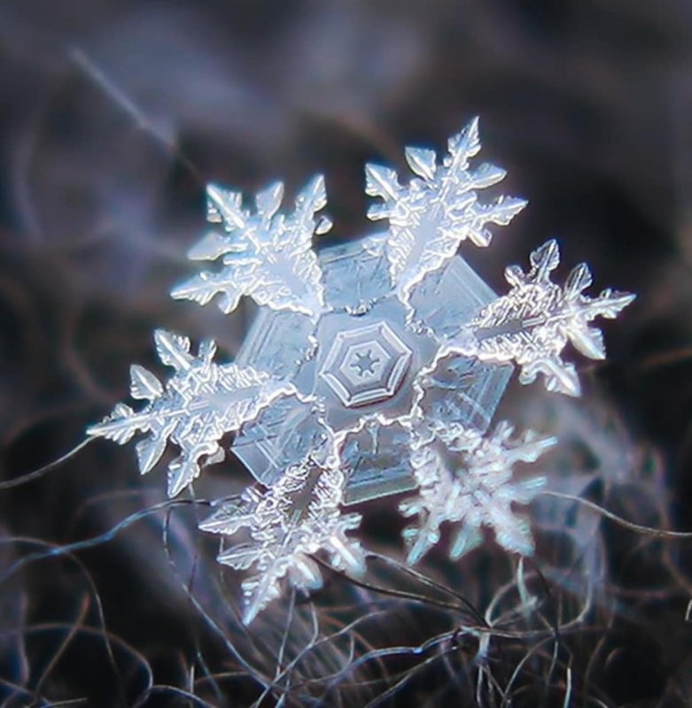 Макрофотографии снежинок Алексея Клятова