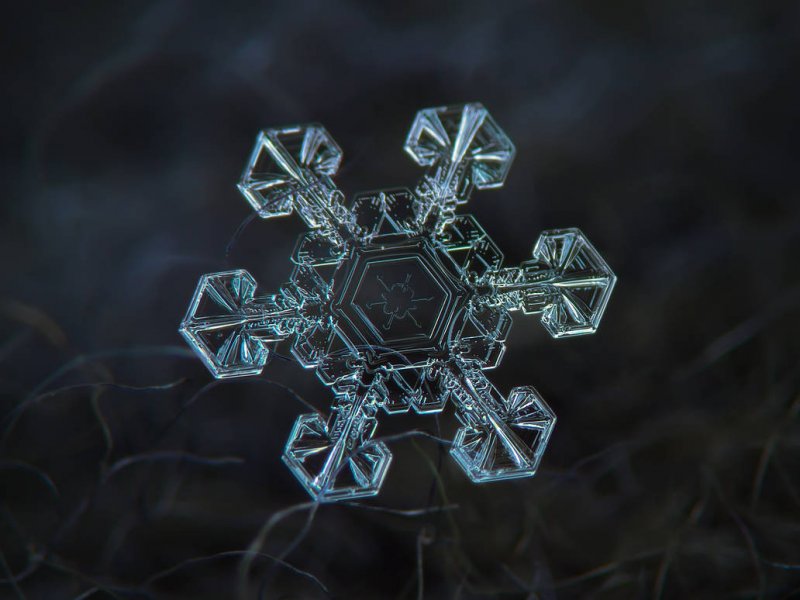 Кристаллы льда под микроскопом